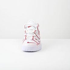 Z6X_8604