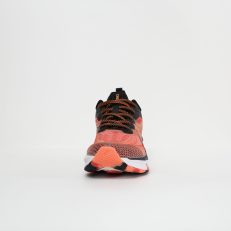Z6X_3941